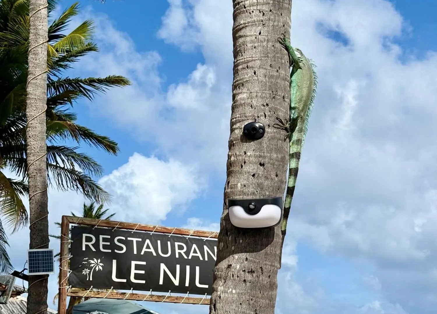 T2 Vue Mer Avec Acces Direct Lagon Et 5 Min Plage Sainte-Anne Guadeloupe